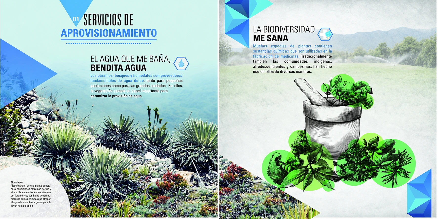 panel: servicios de aprovisionamiento — Nuestra conexión con la naturaleza