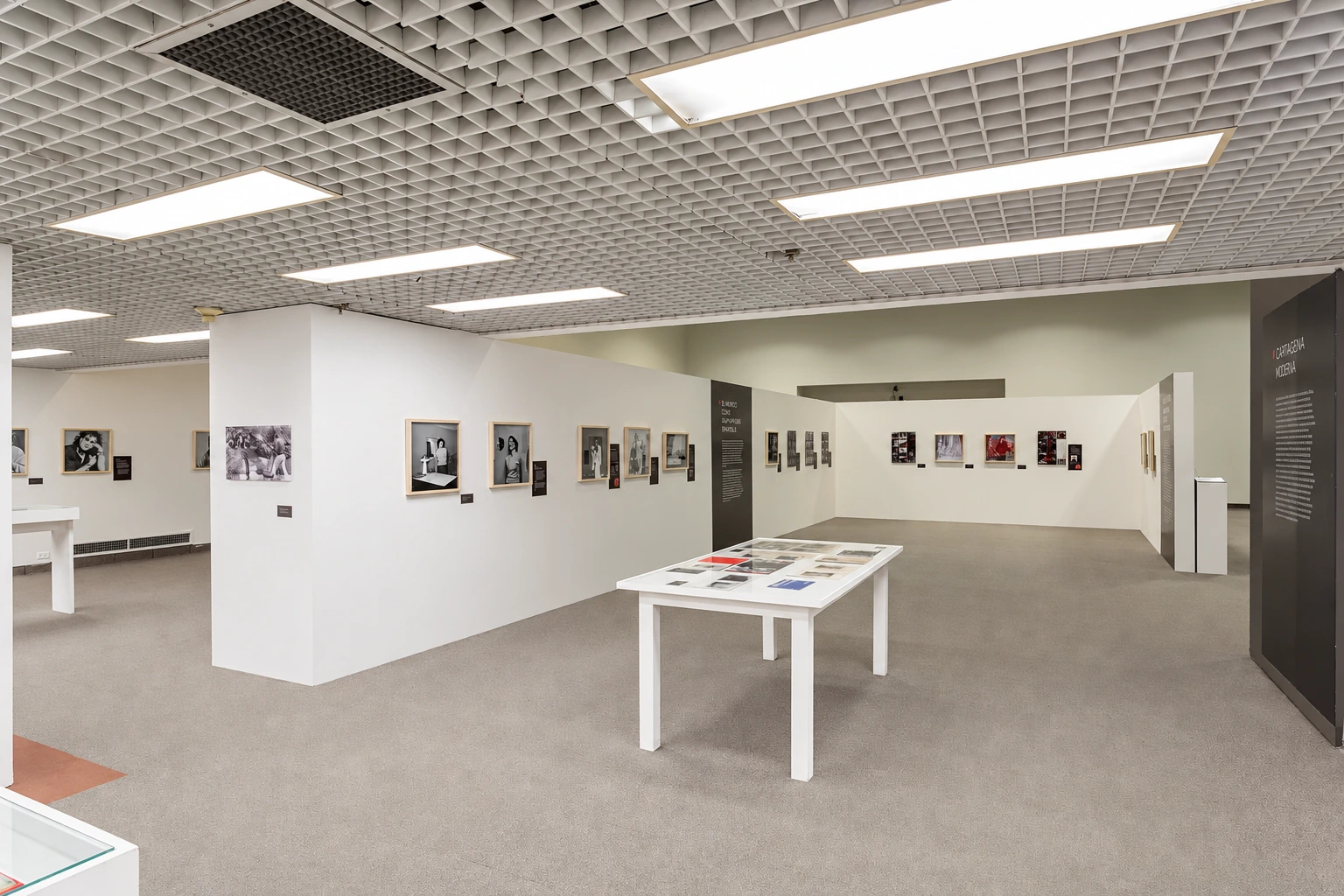 mesas vitrina y muros de fotografía — Hernán Díaz revelado