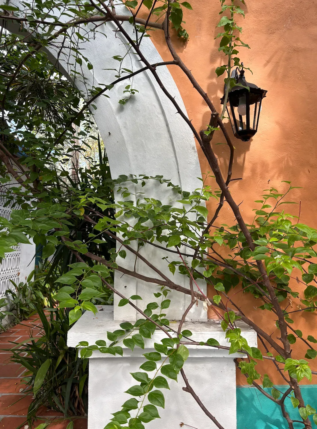 Arco, farol y vegetación