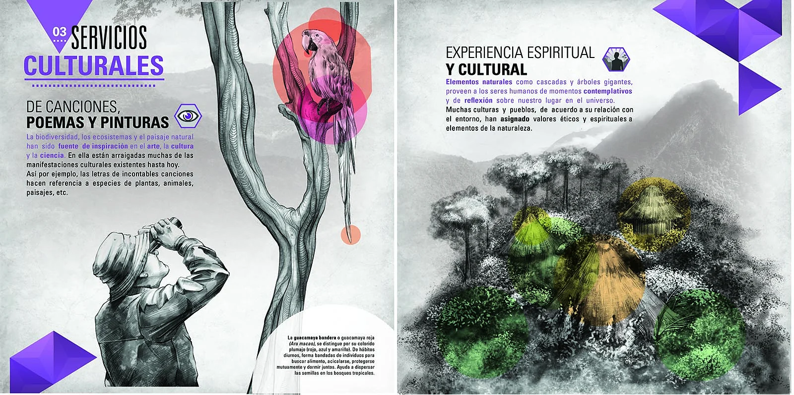 panel: servicios culturales — Nuestra conexión con la naturaleza