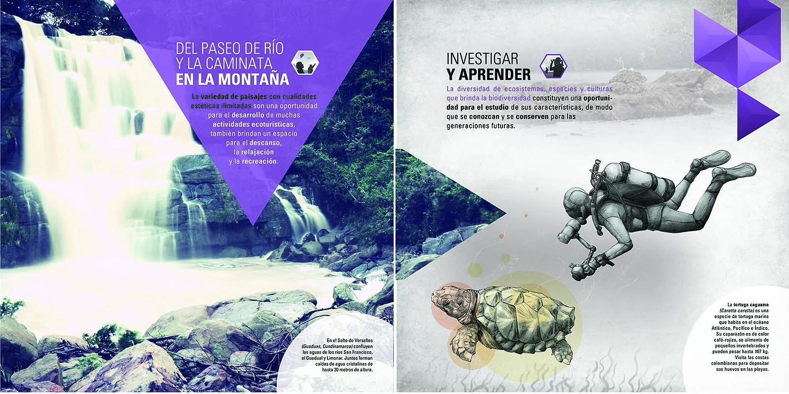 panel temático — Nuestra conexión con la naturaleza
