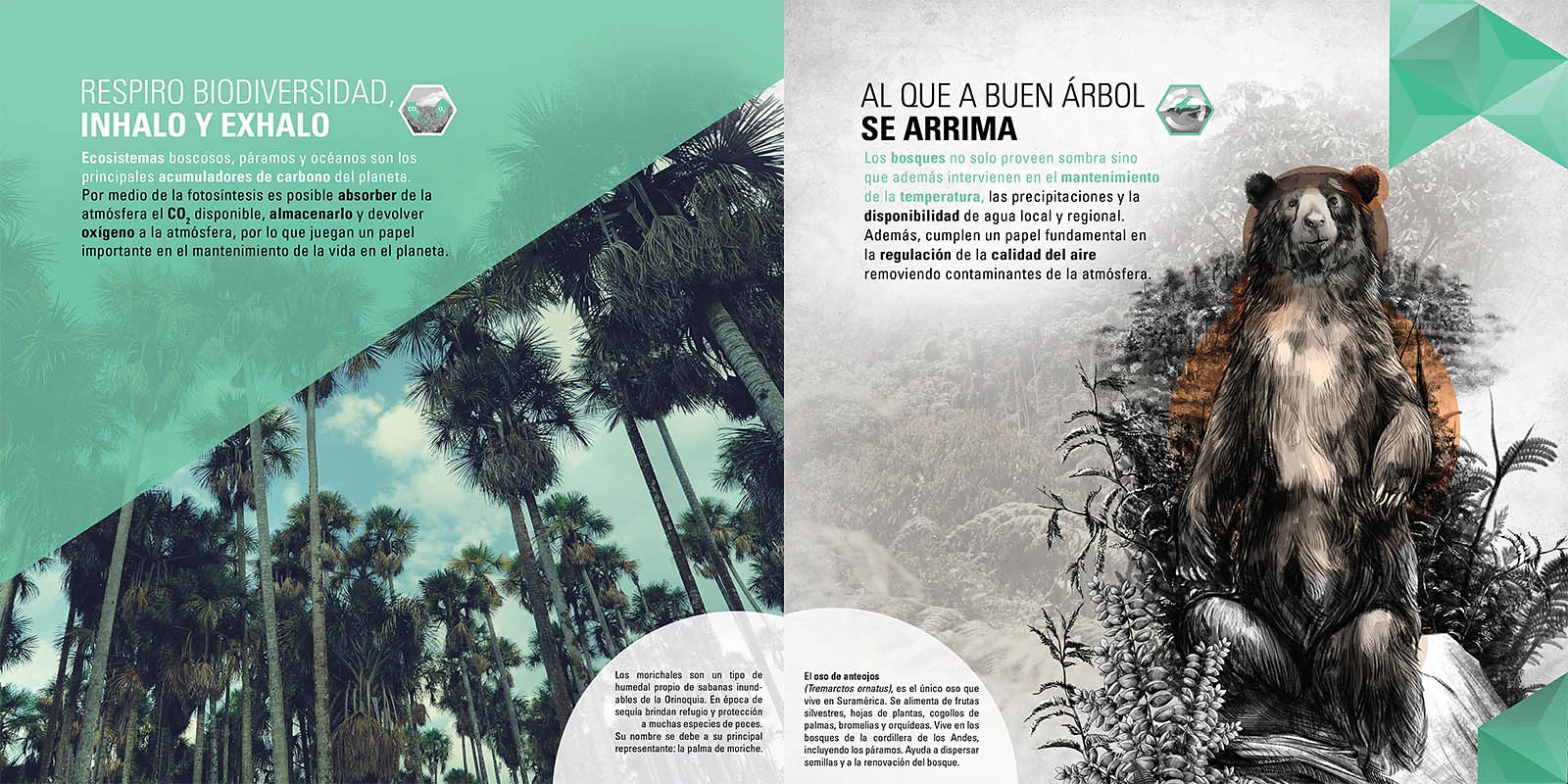 panel temático — Nuestra conexión con la naturaleza