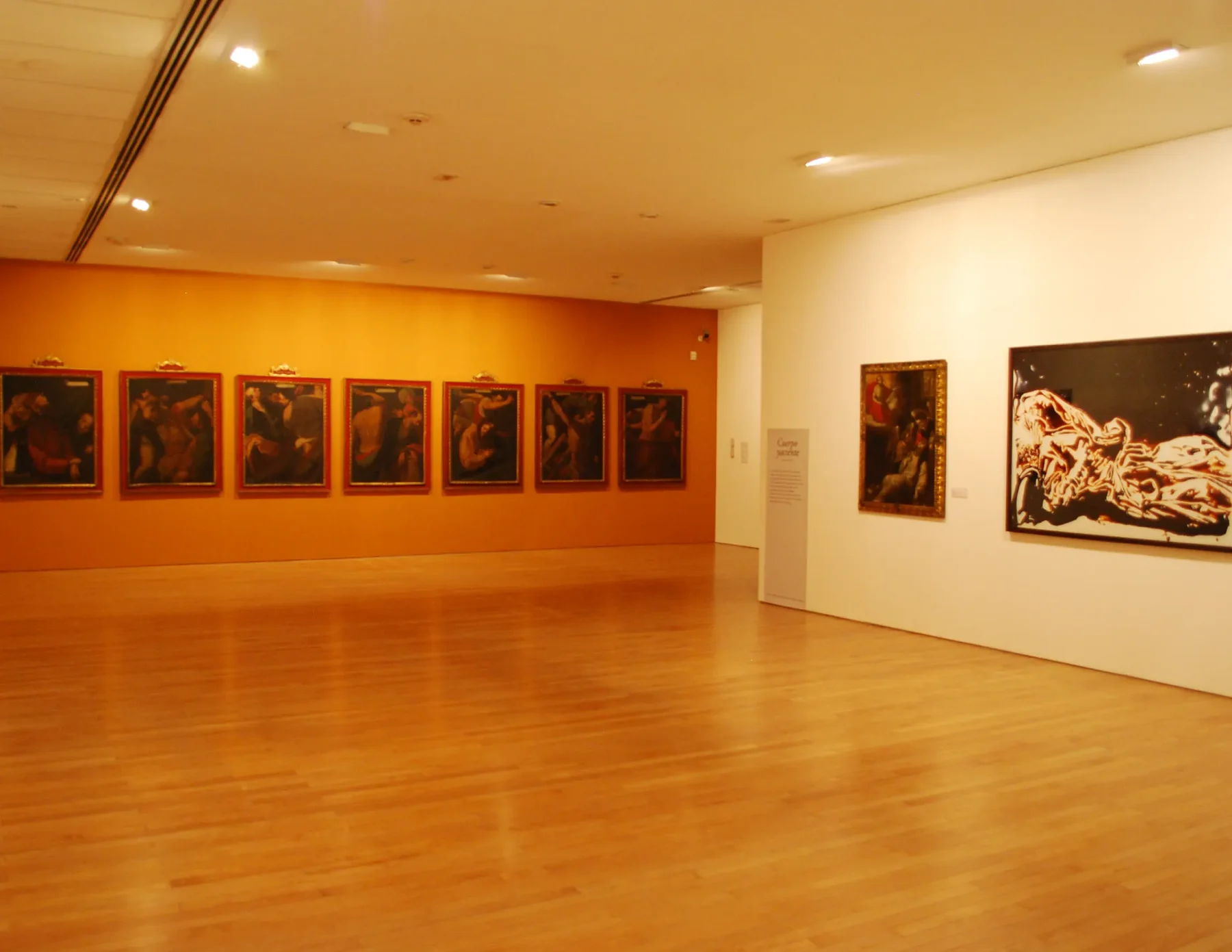 mur de couleur avec une série de peintures — Habeas Corpus : puisses-tu avoir un corps à exposer